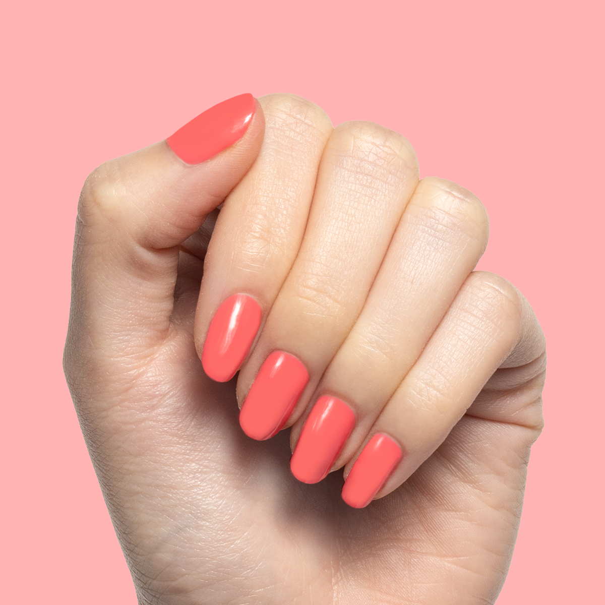 Maine Character Energy、mySite、solidvoid