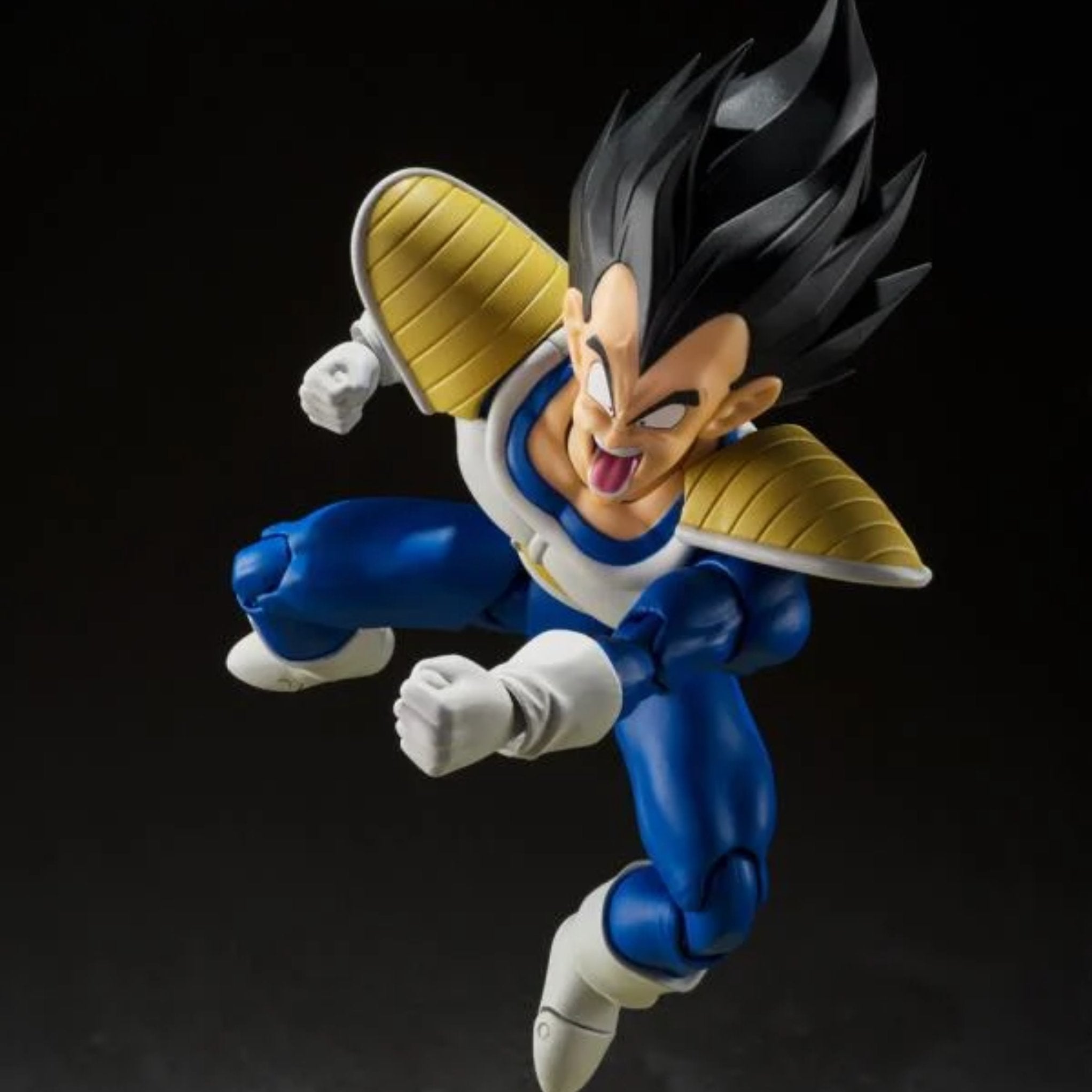 S.H. Figuarts Premium Bandai Exclusive Dragonball Z Vegeta (Power Level 24000)、mySite、hgirdovlk