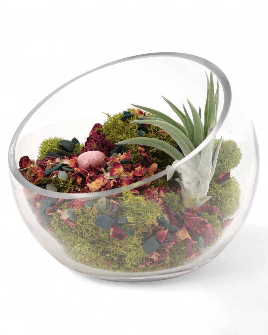 Love and Compassion Terrarium with Air Plant、mySite、topwebapps
