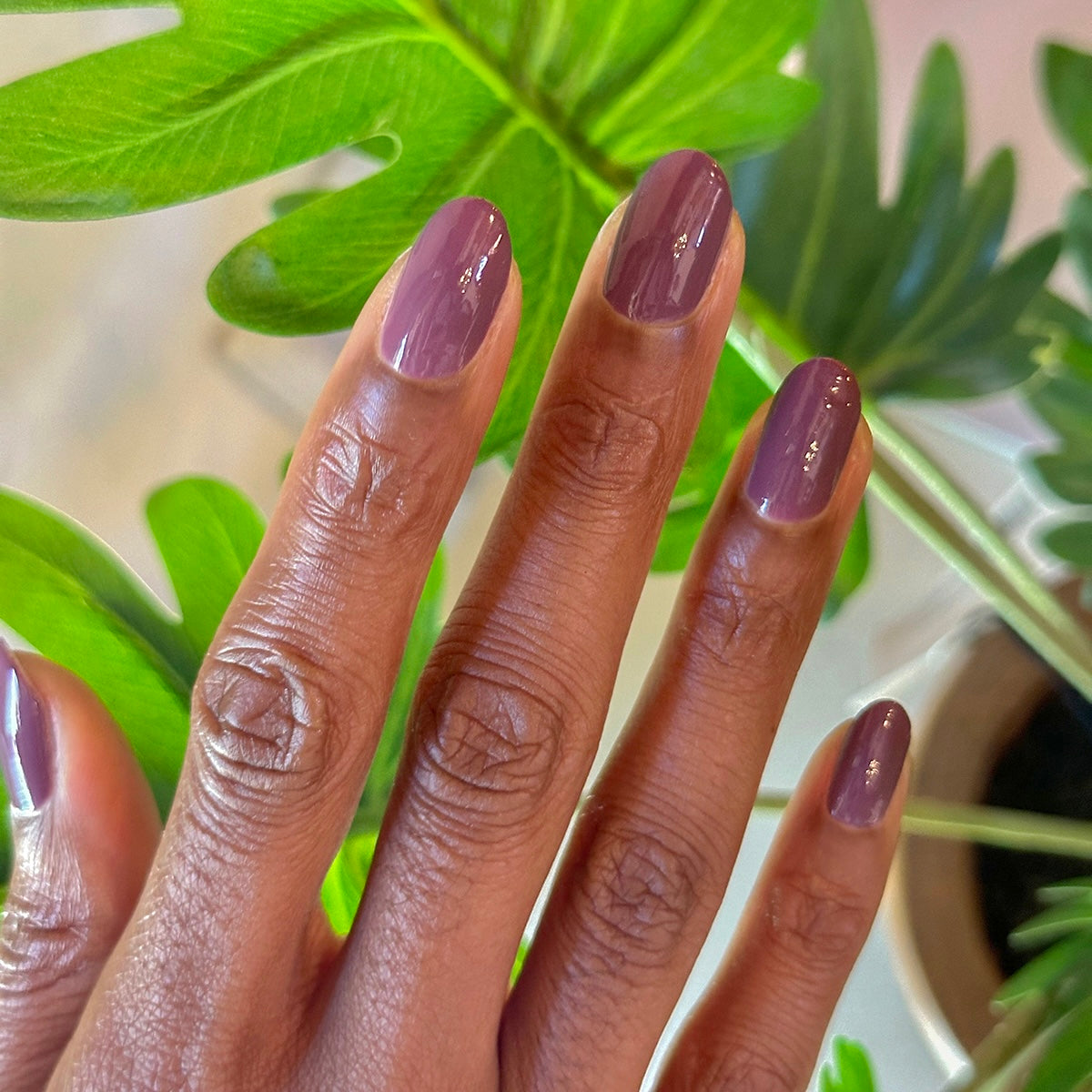 Cardigan、mySite、solidvoid