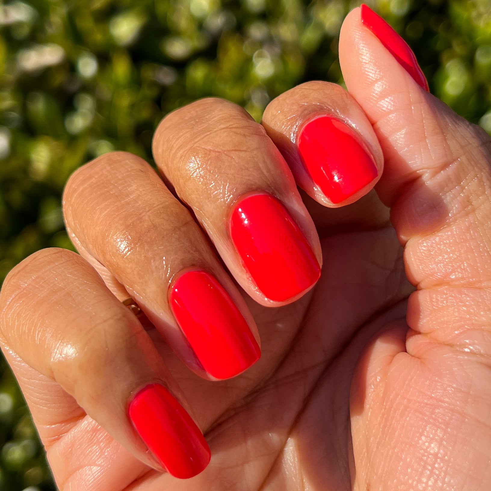 You're Doing Great、mySite、solidvoid