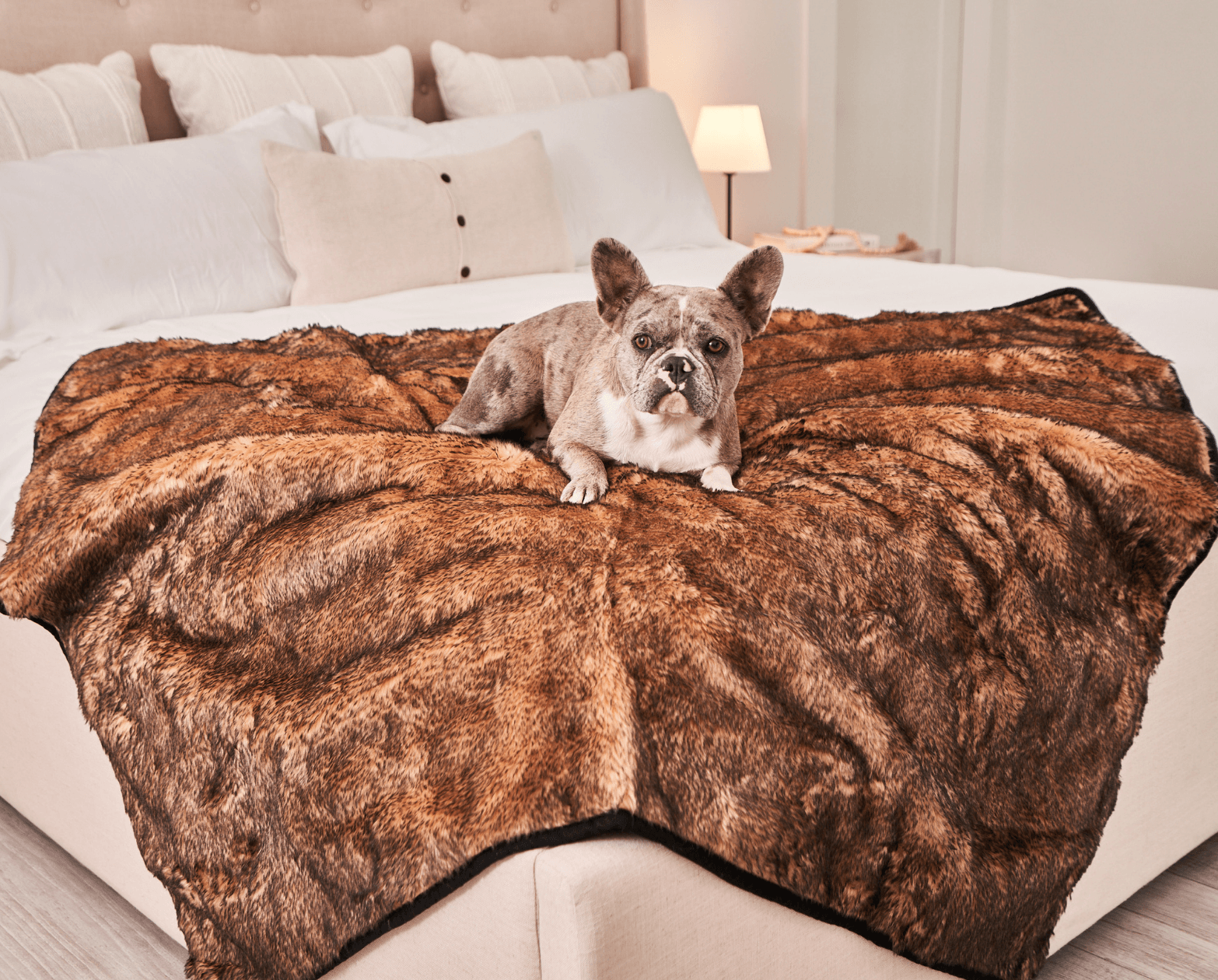 PupProtector™ Summer Short Fur Waterproof Throw Blanket - Sable Tan、mySite、solidvoid