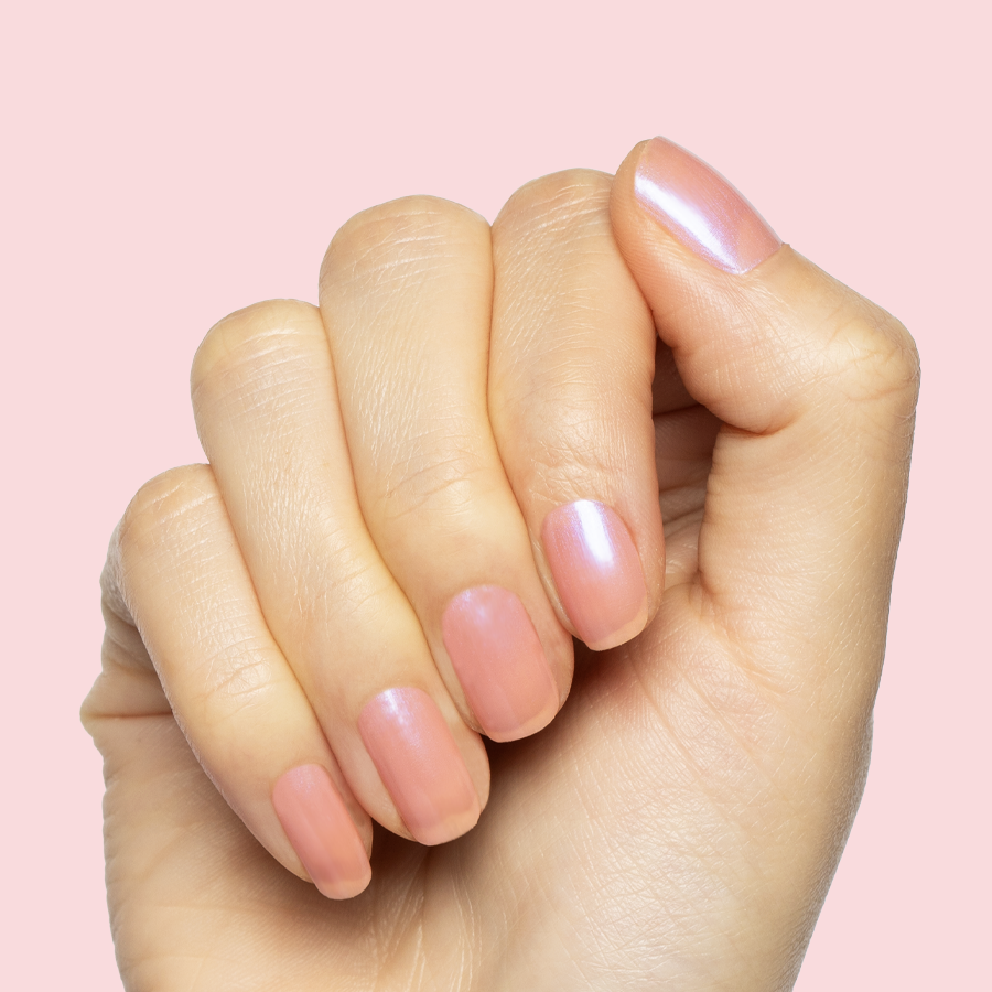 Olive Y'all、mySite、solidvoid