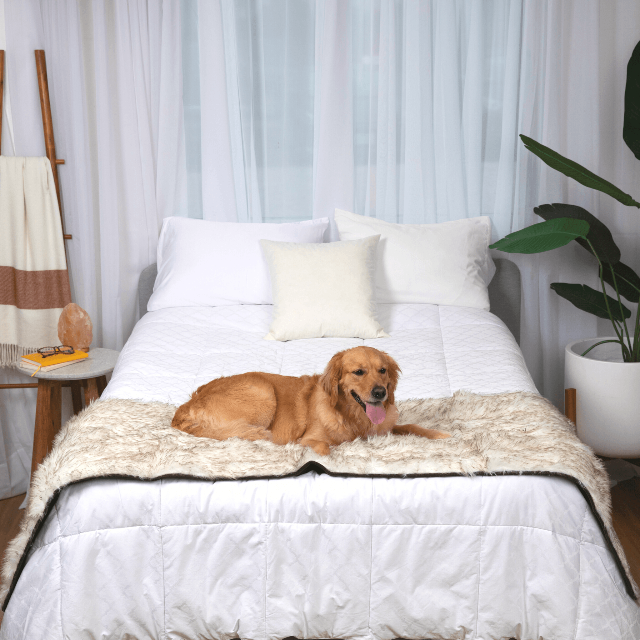 PupProtector™ Waterproof Bed Runner - White with Brown Accents、mySite、solidvoid
