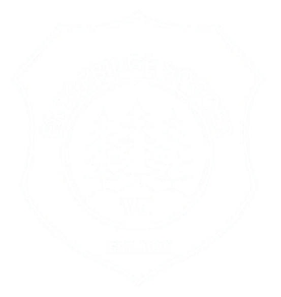 VE Crest FF - WHT - VE15、mySite、noshort