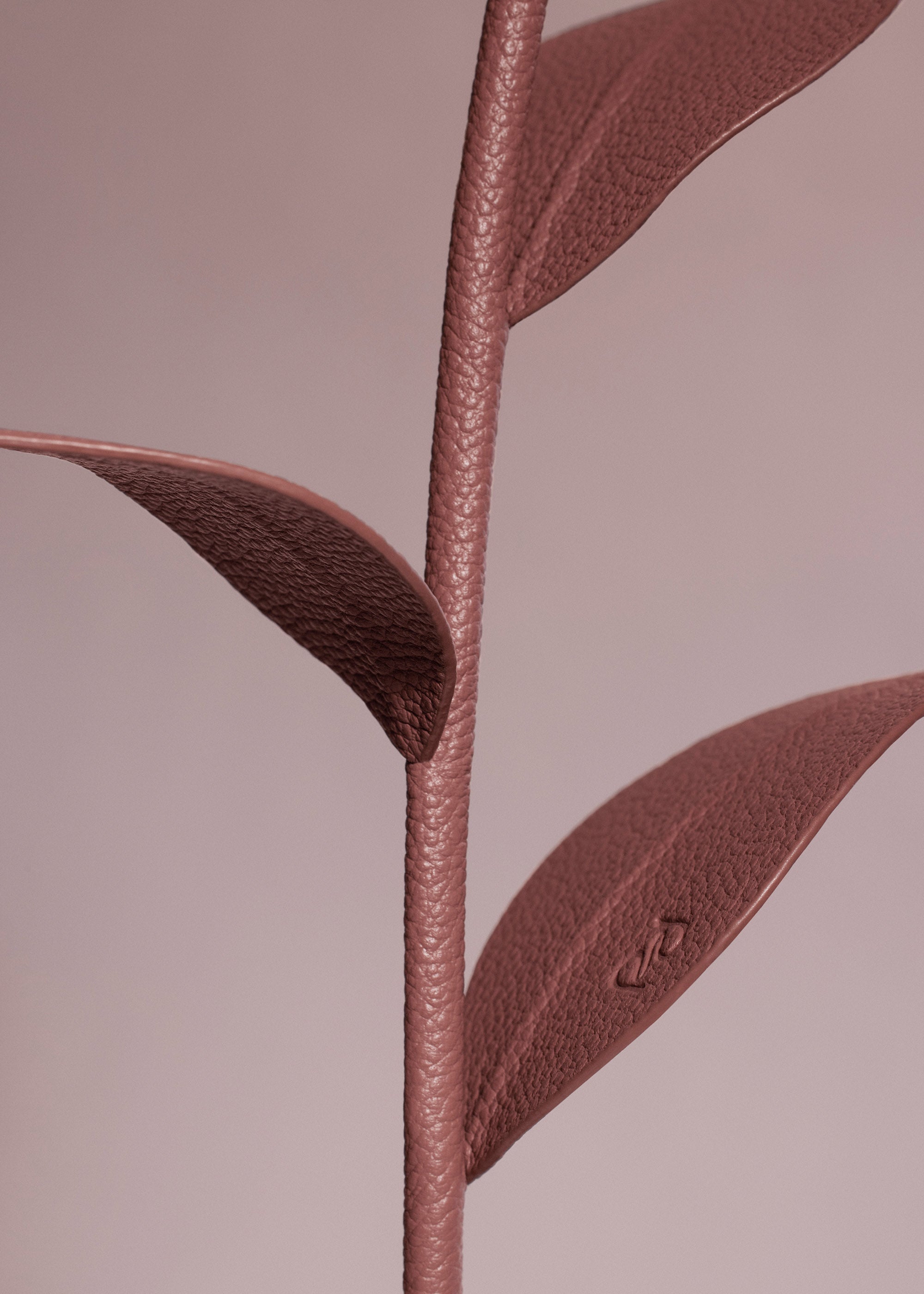 Fleur Dalium - Duo Blush Grain茅、mySite、camillekostekn