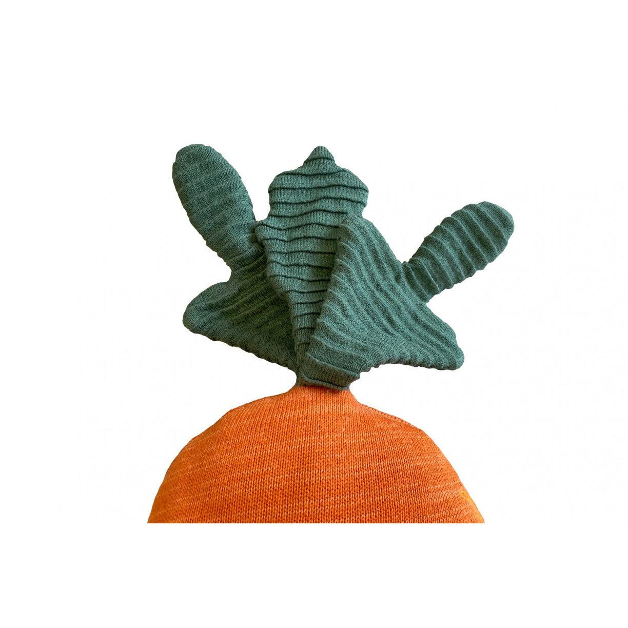 Oli & Carol Cathy the Carrot Knitted Cushion、mySite、gigharbornorthrealestate