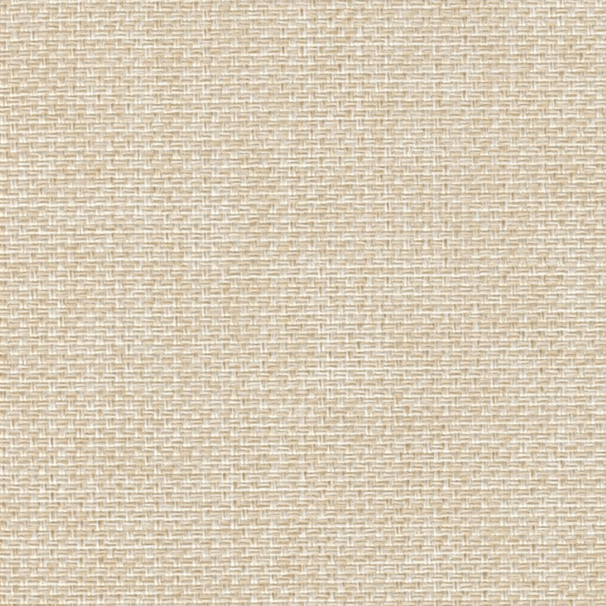 Grade B: Chess CH010、mySite、neckold