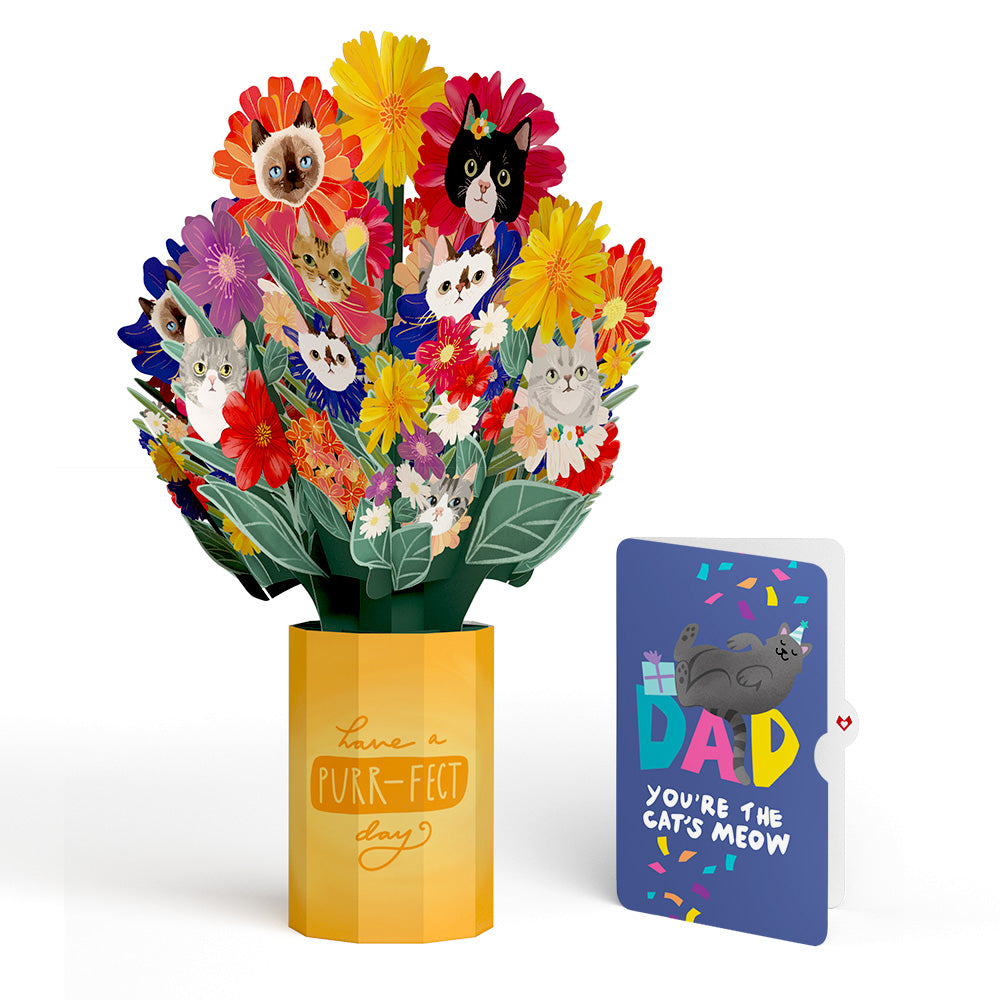 Purr-fect Cat Birthday Bouquet and Sentiment Set for Dad、mySite、solidvoid