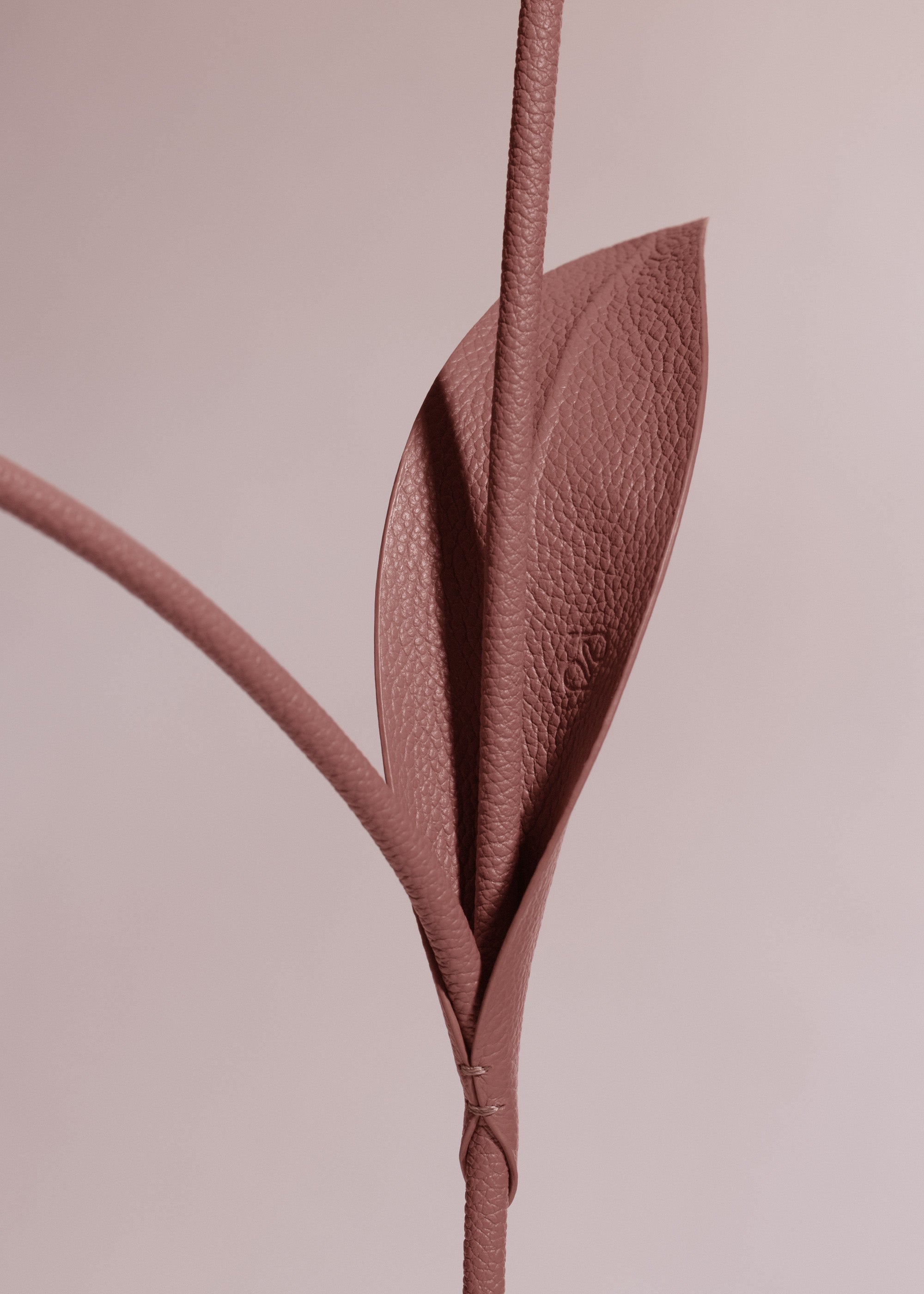 Fleur Tul - Duo Blush Grain茅、mySite、camillekostekn