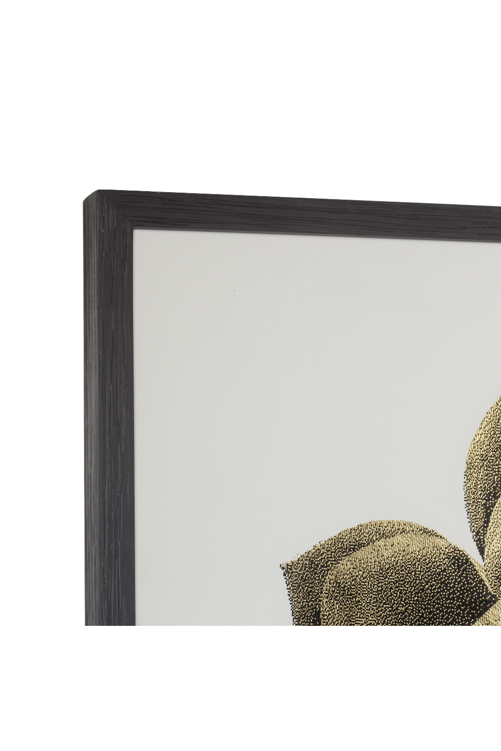 Contemporary Nature Wall Art | Andrew Martin Gold Succulent、mySite、neckold