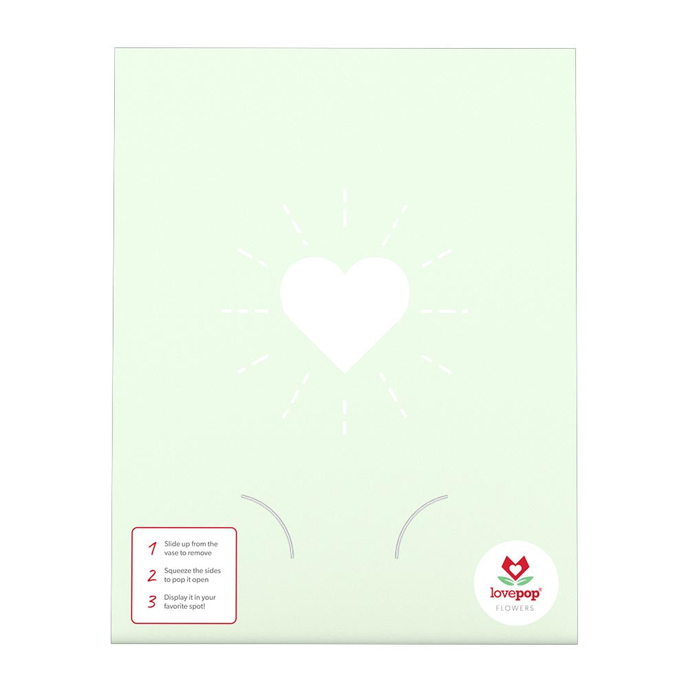 Christmas Toy Bouquet、mySite、solidvoid