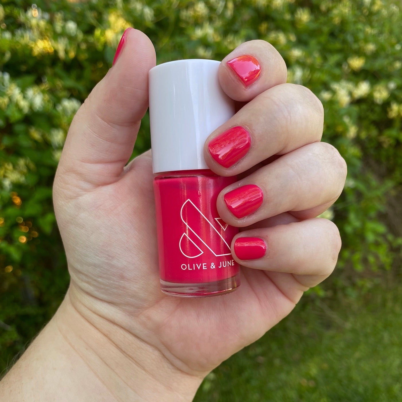 Cherry Crush - Part of Set、mySite、solidvoid