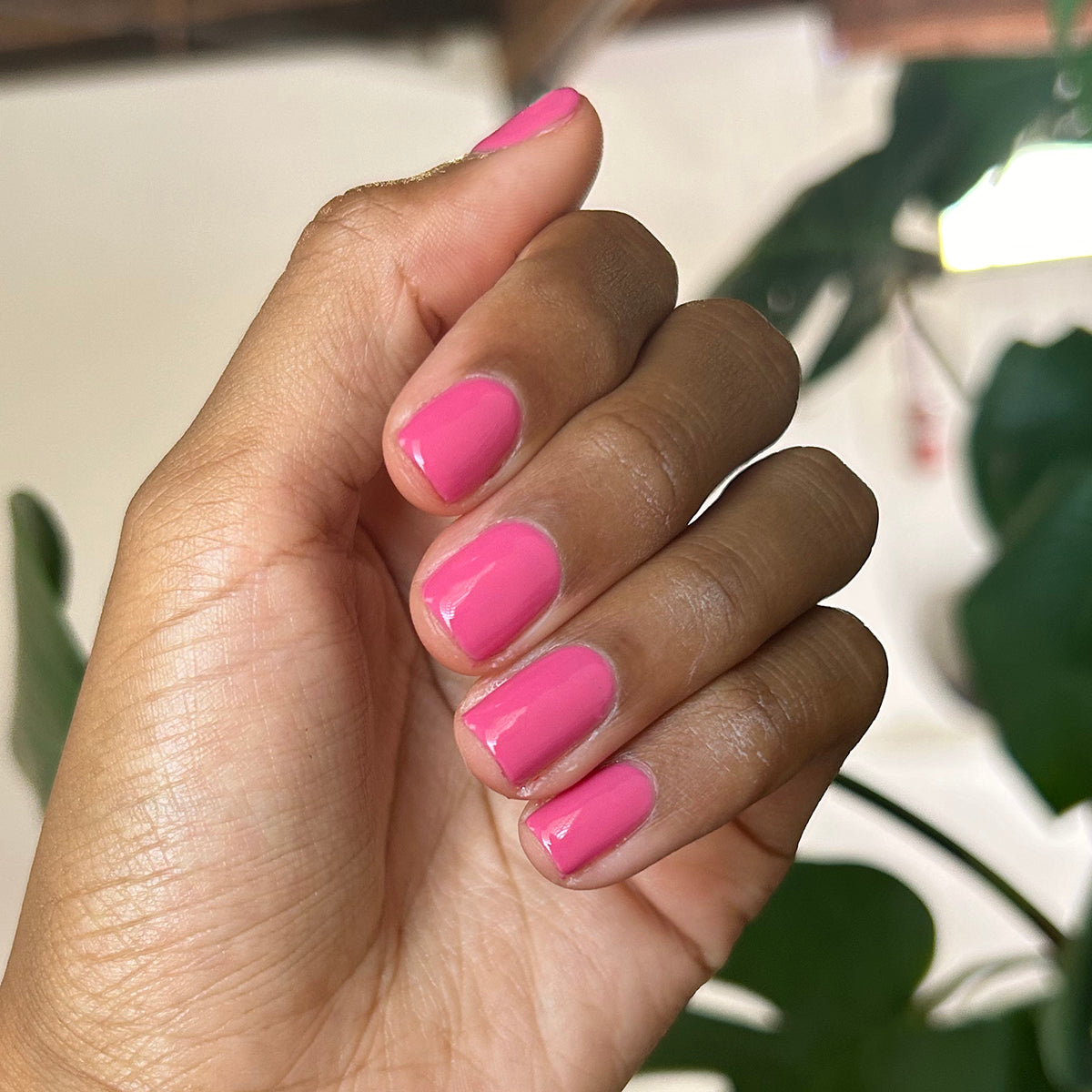 Prom - Gel、mySite、solidvoid