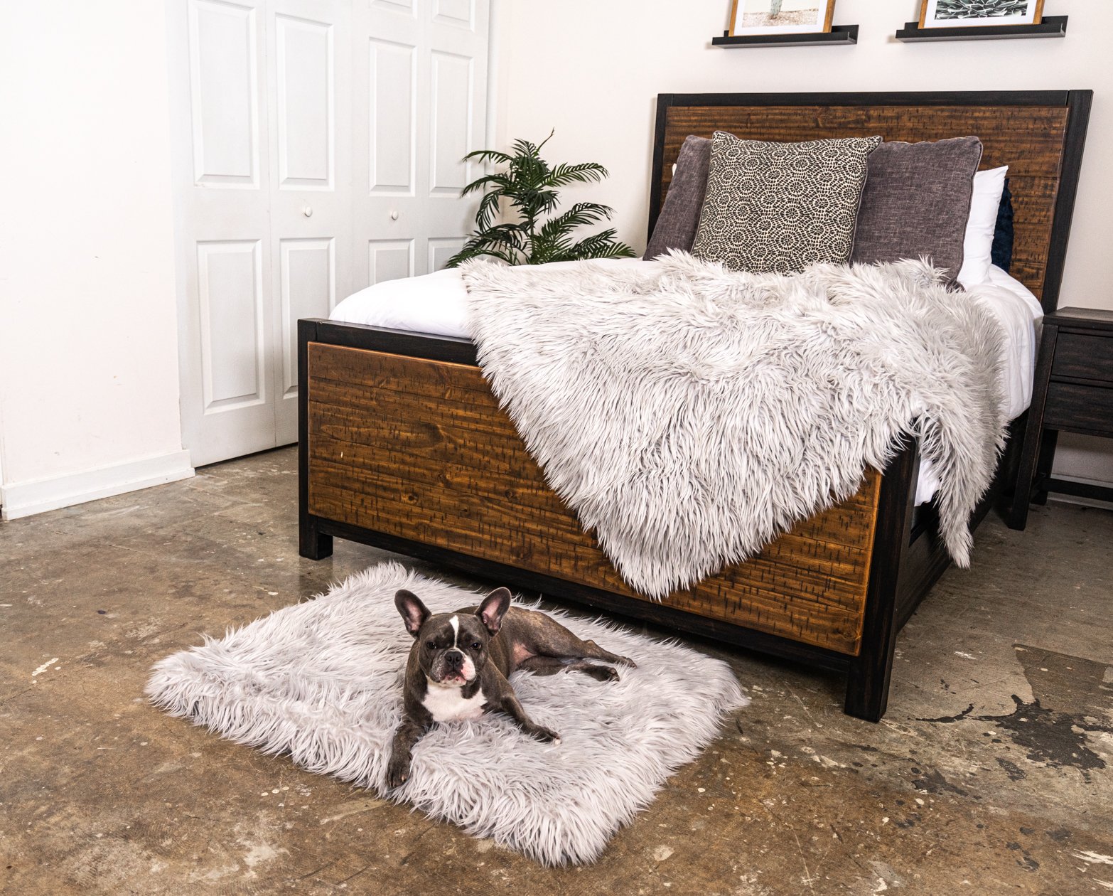 PupRug™ Orthopedic Bed + Matching Waterproof Blanket Bundle - Rectangle Grey、mySite、solidvoid
