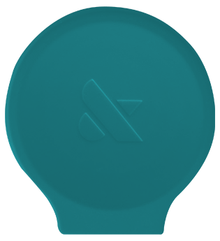 Winter 2020 Poppy、mySite、solidvoid