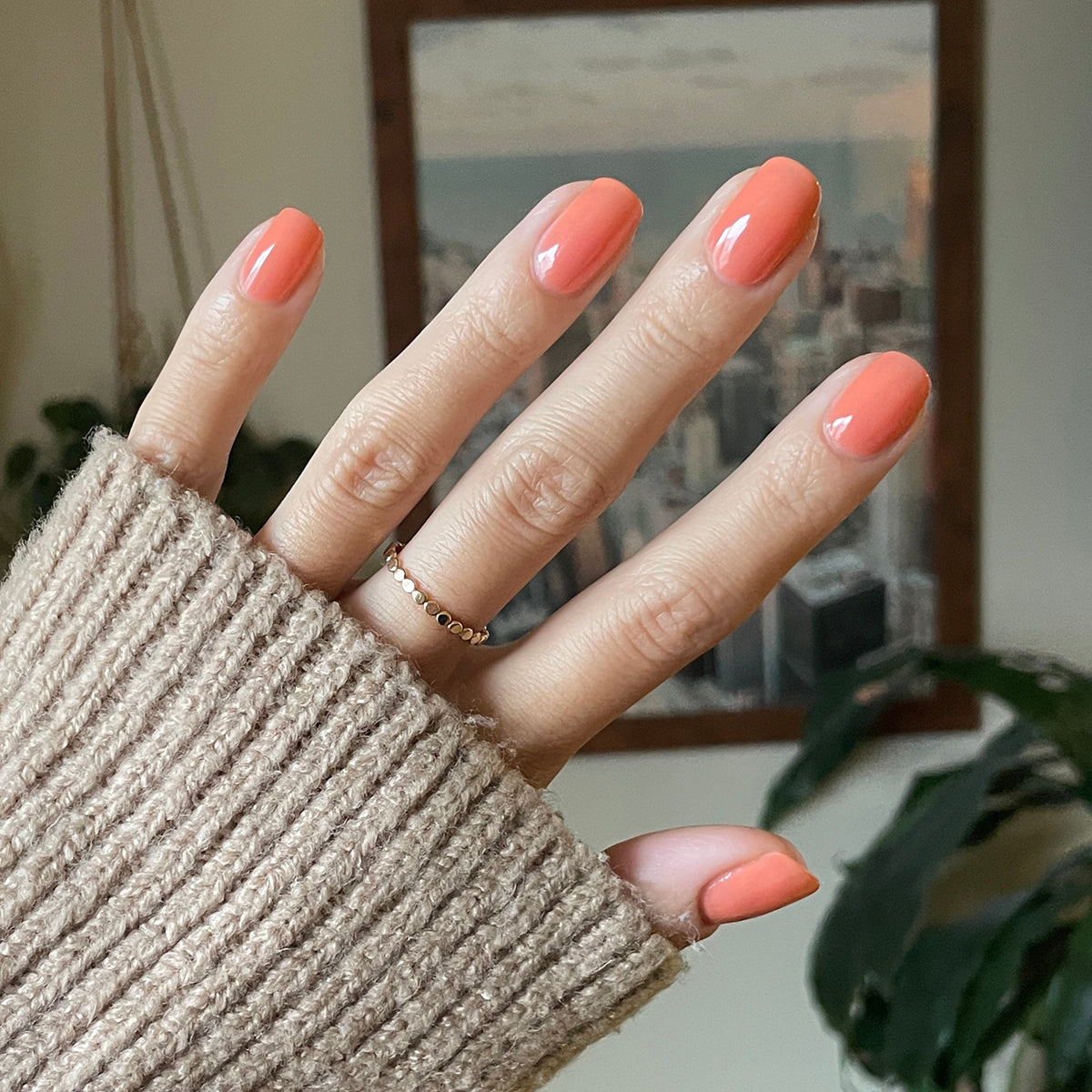 Peeptoe、mySite、solidvoid