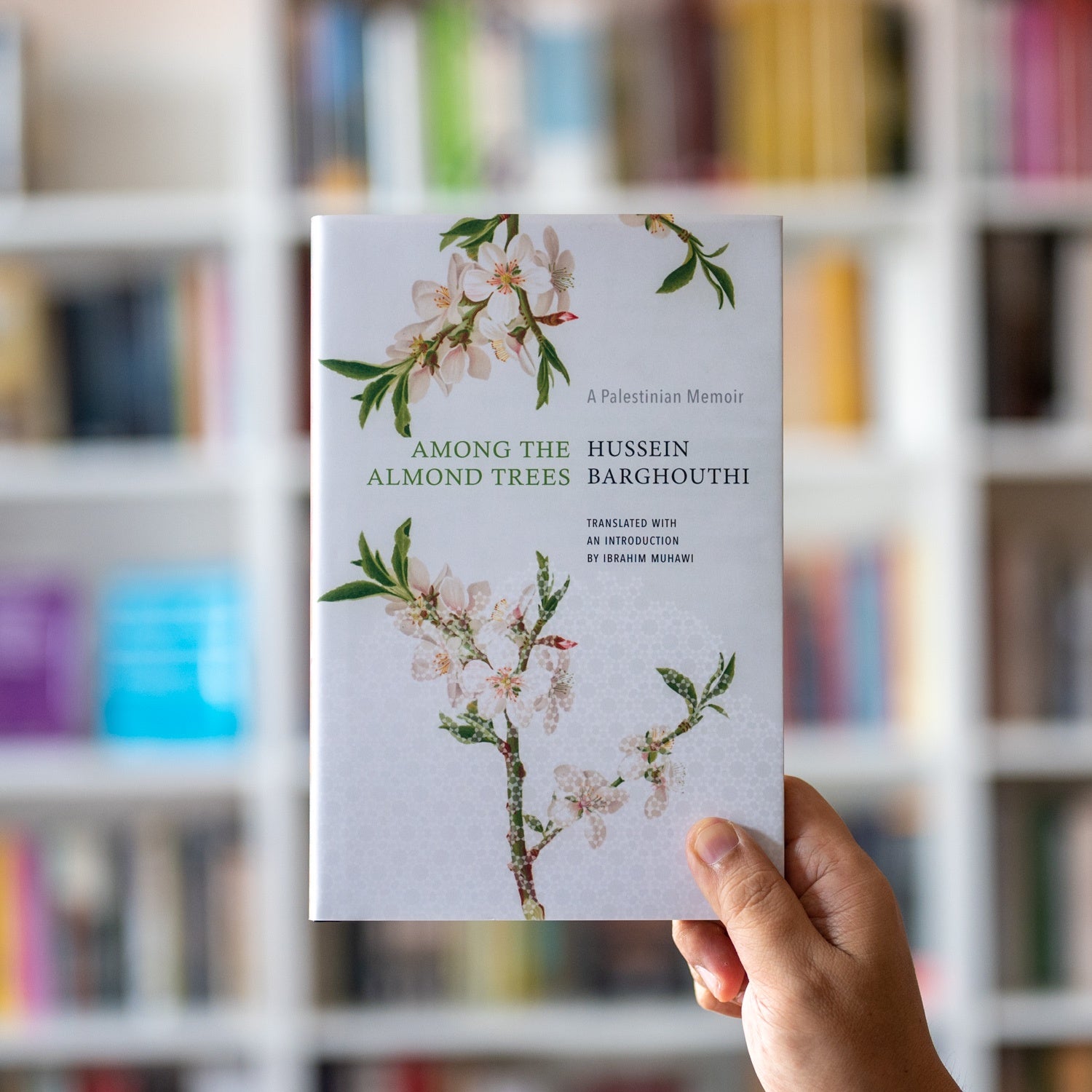 Among the Almond Trees: A Palestinian Memoir、mySite、topwebapps