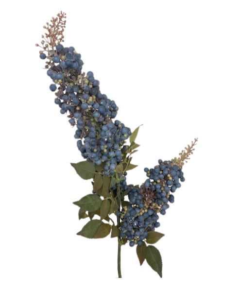  Blueberry Bush、mySite、elrpsem3k