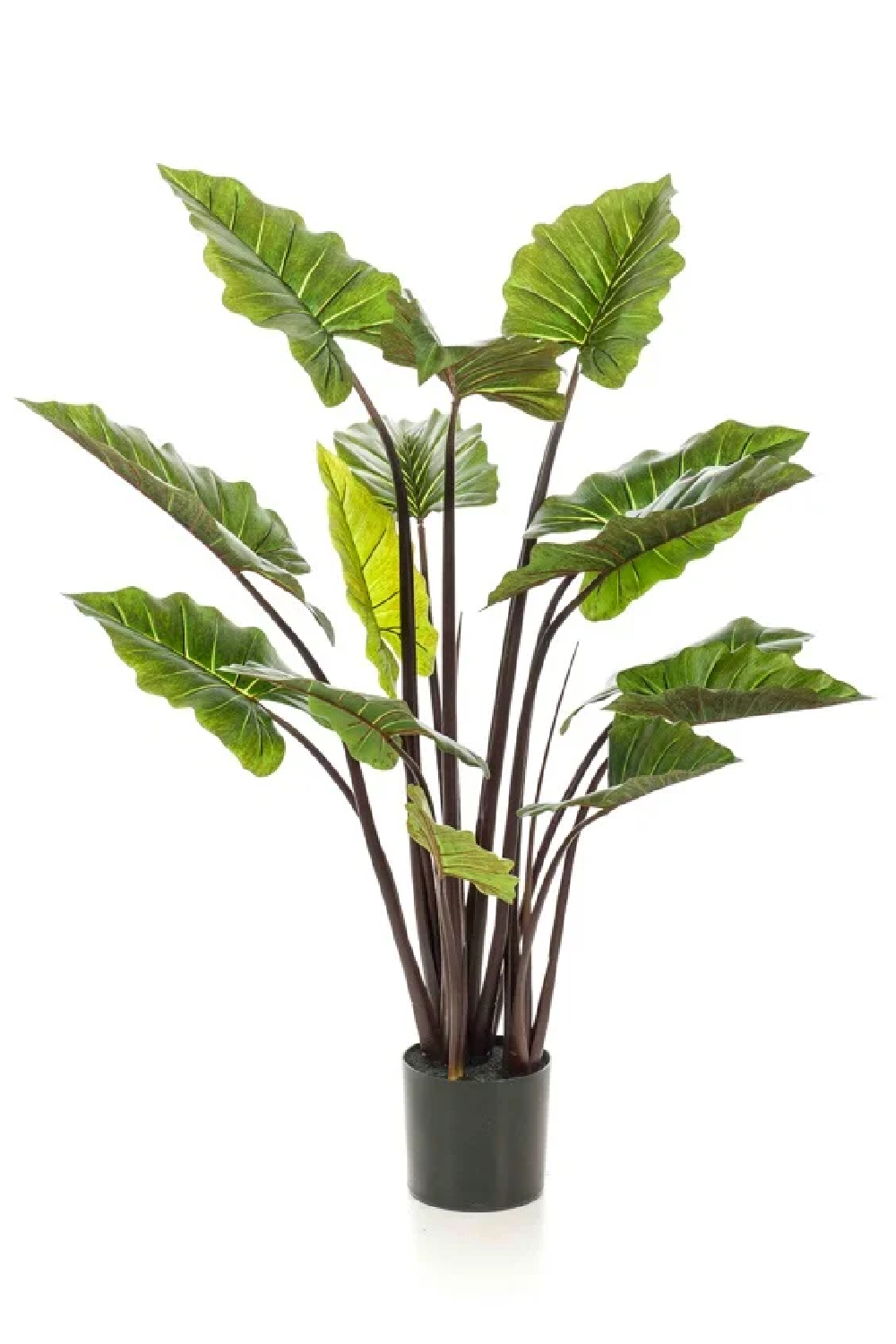 Green Leaf Tropical Faux Plants (2) | Emerald Colocasia、mySite、neckold