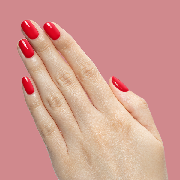 Secret Recipe - Gel、mySite、solidvoid