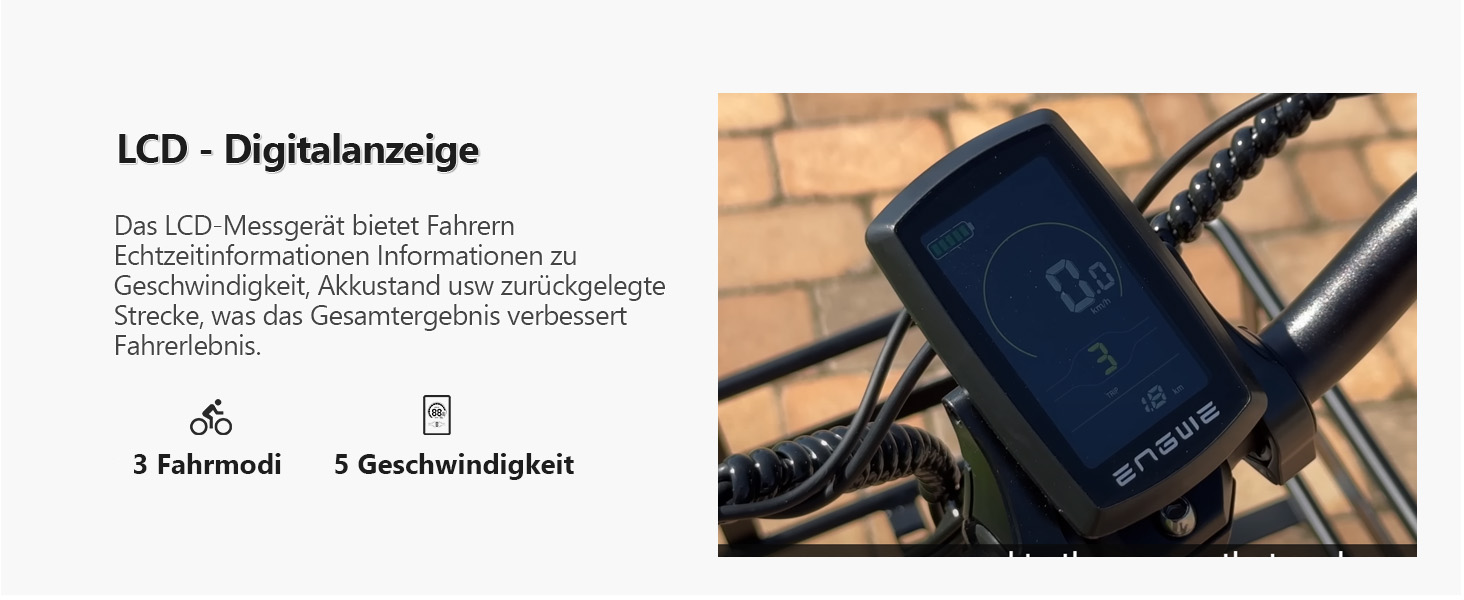 Pasted Image