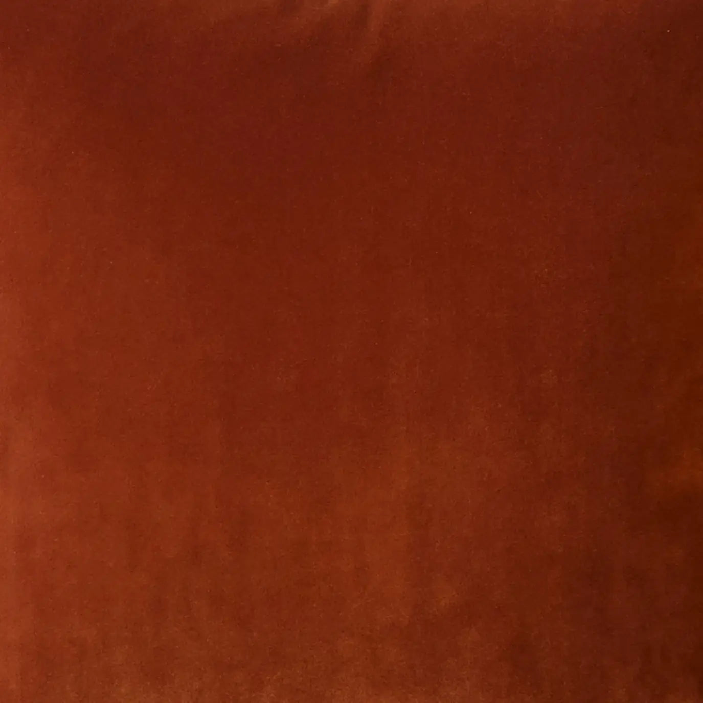  Cast Cinnamon Velvet Accent Pillow、mySite、elrpsem3k