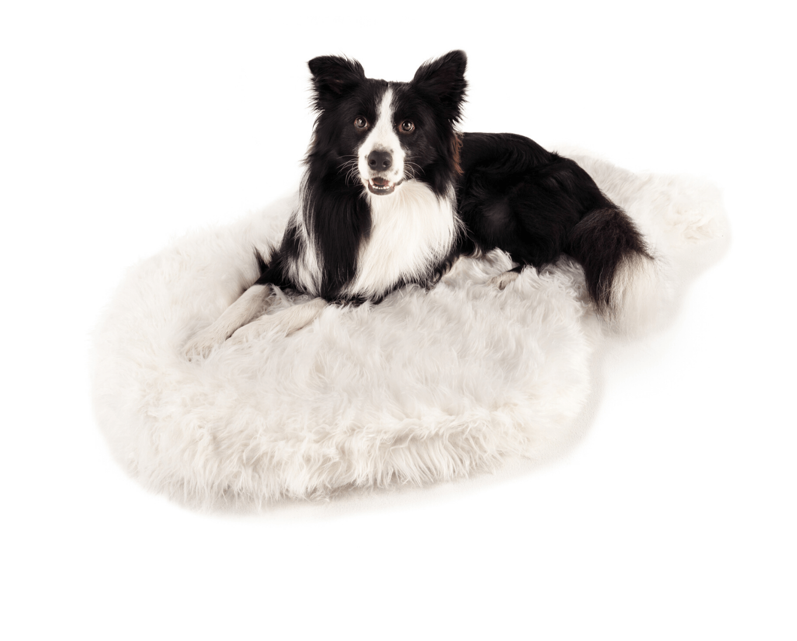 PupRug™ Faux Fur Orthopedic Dog Bed Cover - Curve Polar White (Bed Not Included)、mySite、solidvoid