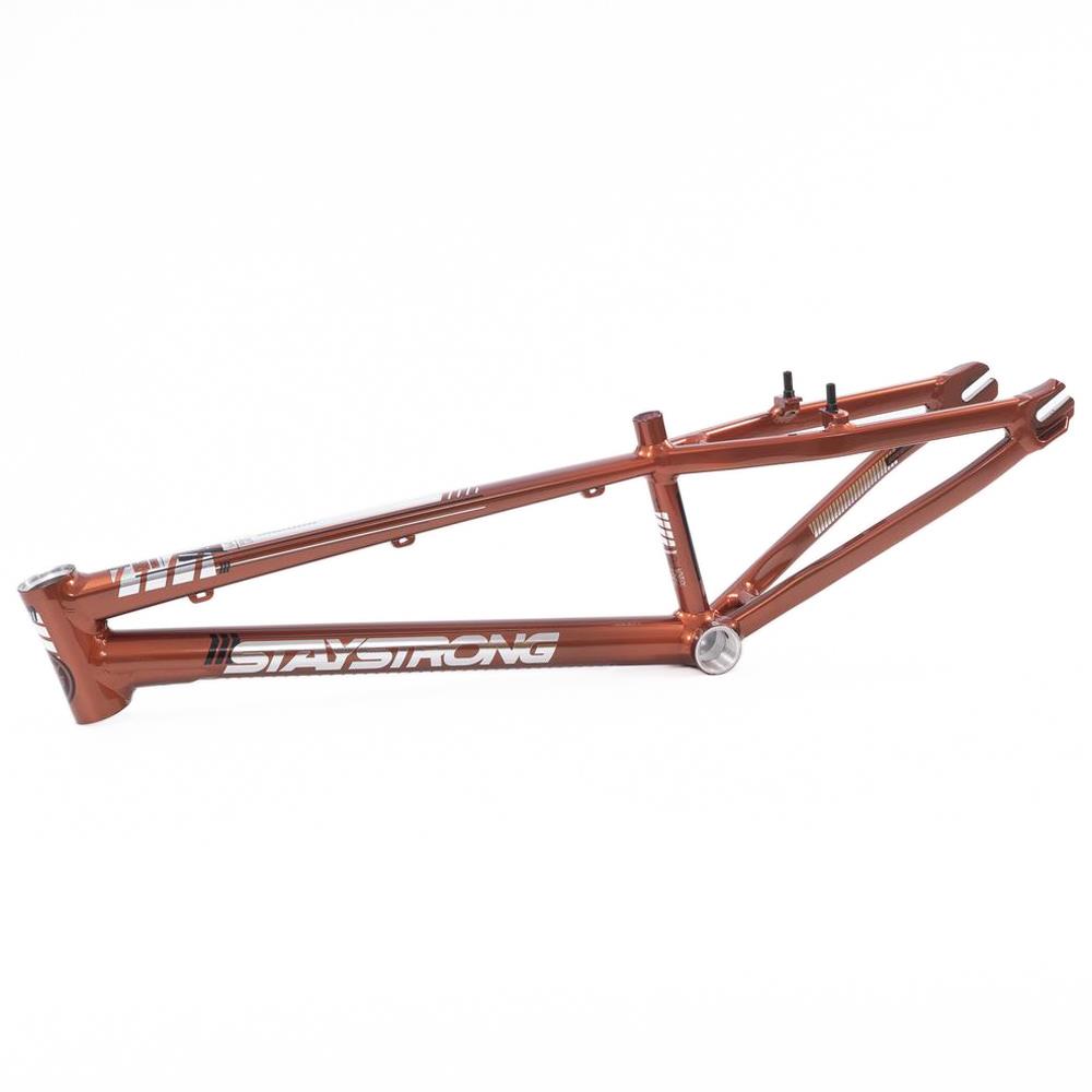  Stay Strong For Life 2023 V4 Mini Race Frame、mySite、merchandisen