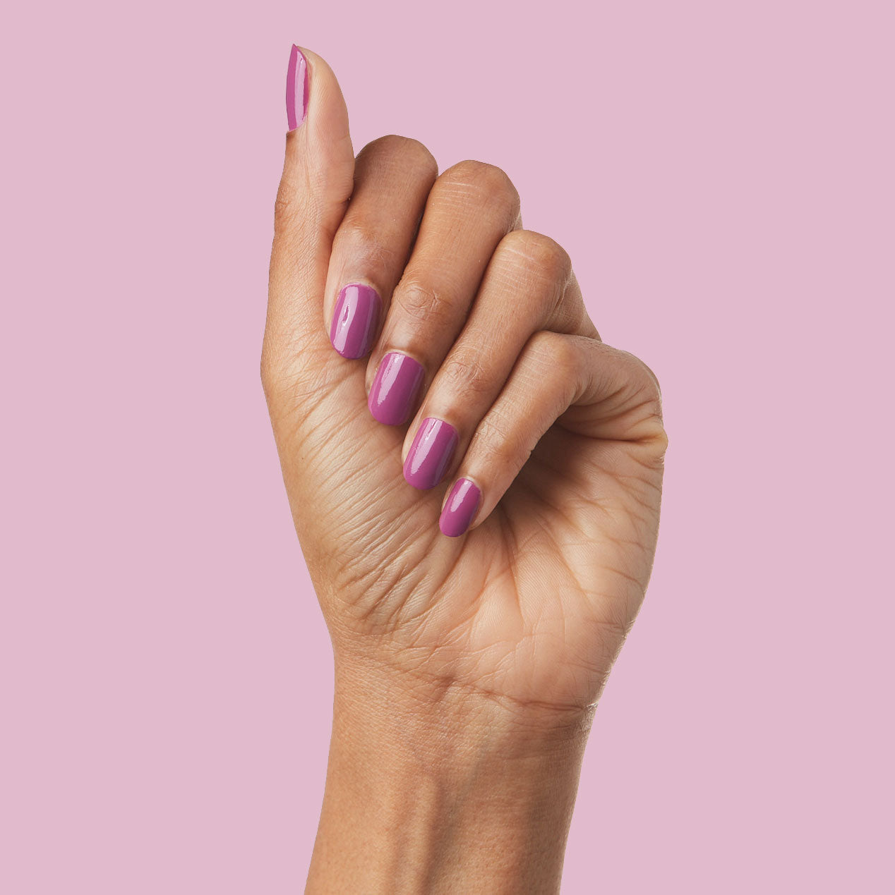 The Lazy Genius Trio、mySite、solidvoid