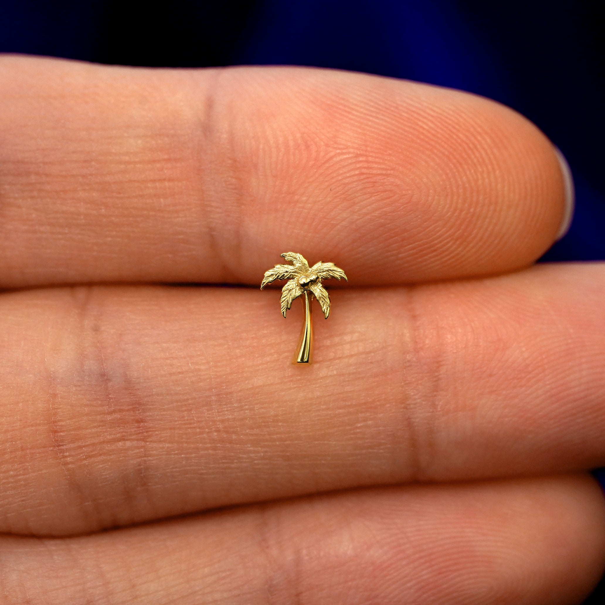 Palm Tree Earring、mySite、hinf8tx79