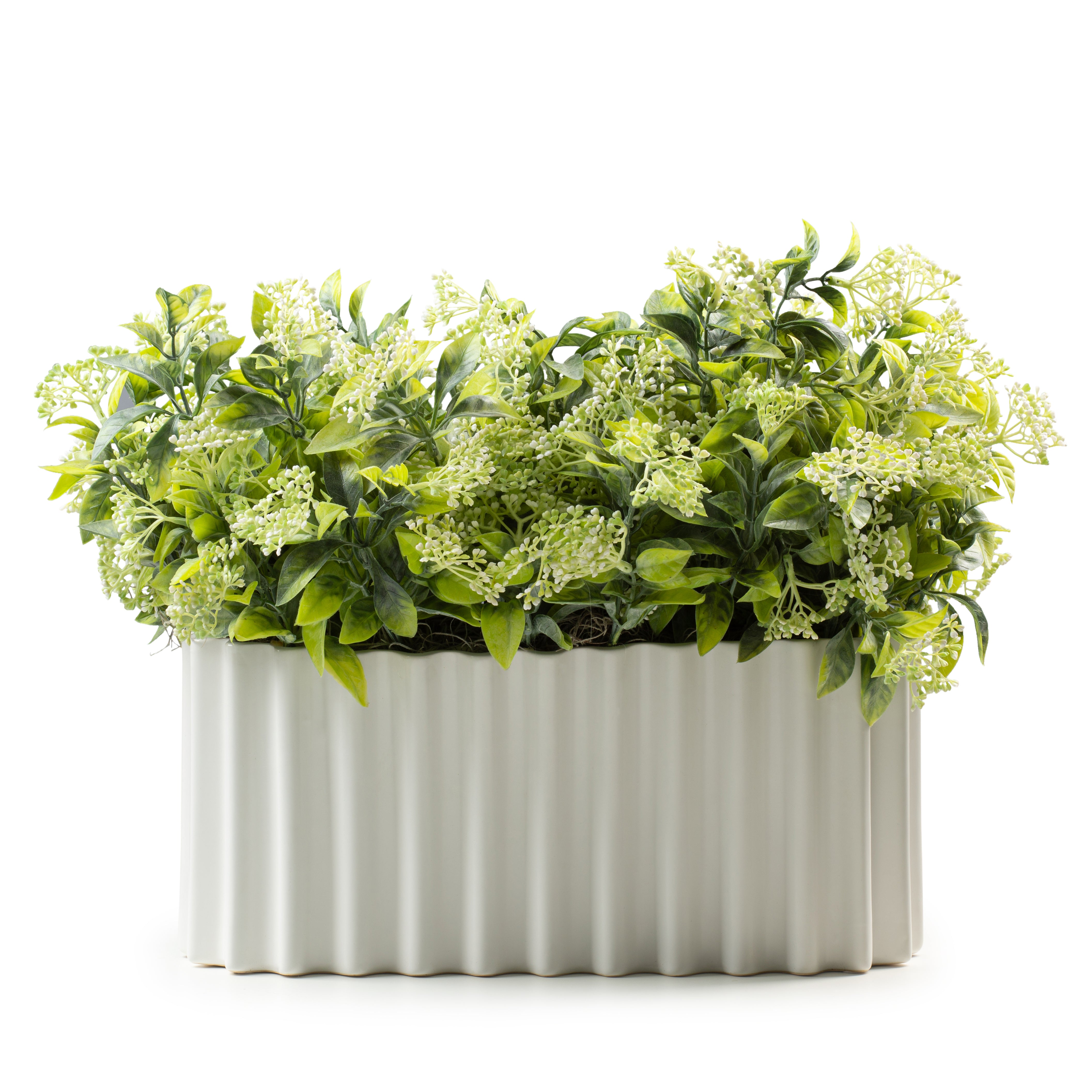  DH Cream Berry Leaves In White Ridge Pot、mySite、elrpsem3k