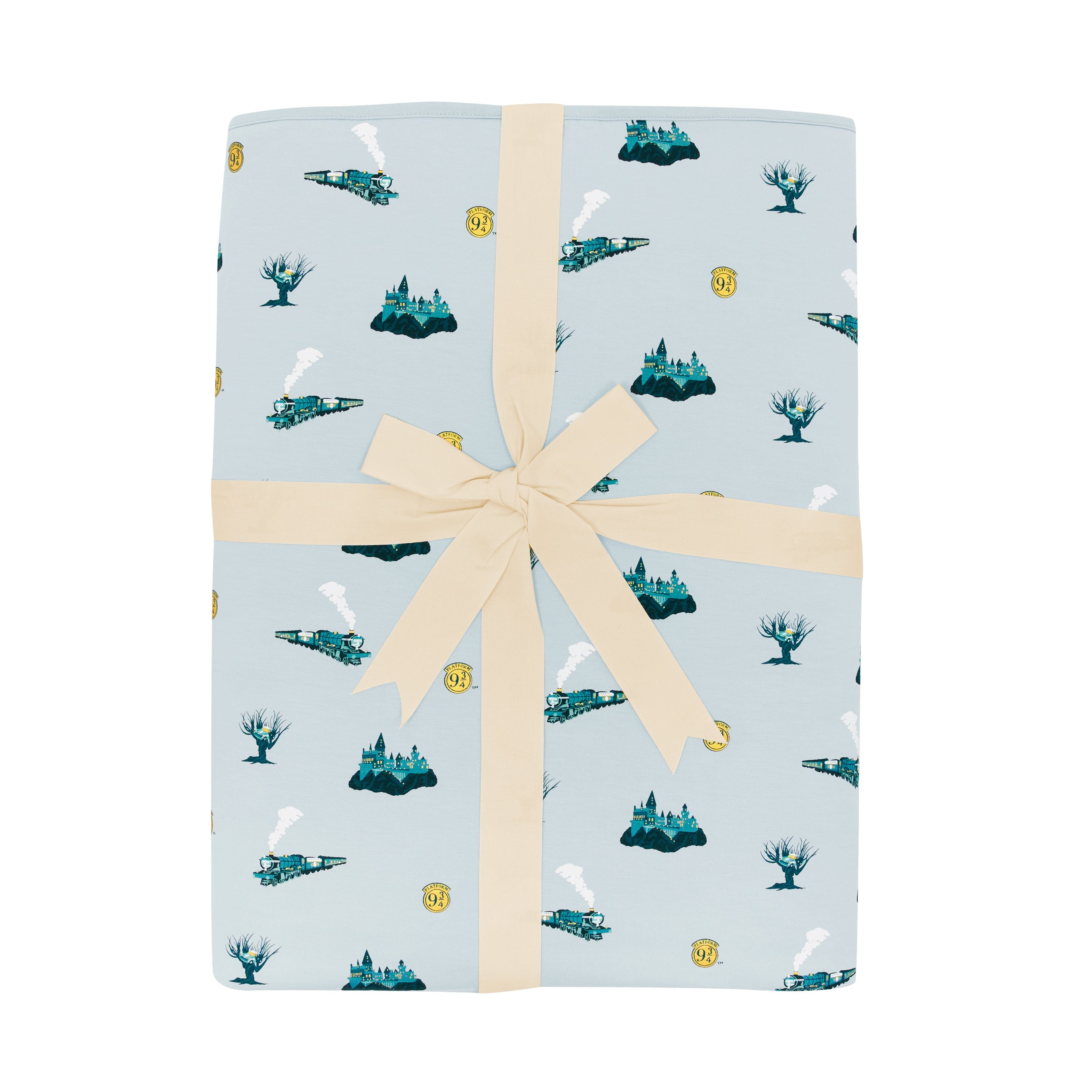  Youth Blanket in Journey 2.5、mySite、layawaytickets