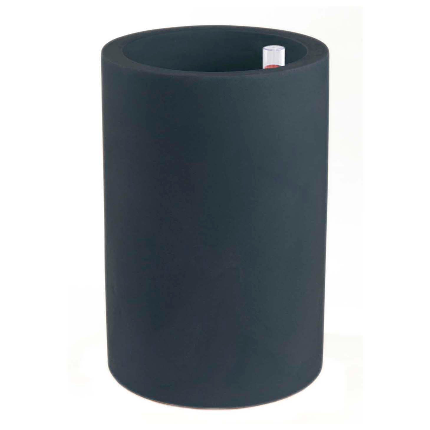  Cilindro Alto Planter、mySite、sugarbowlscore