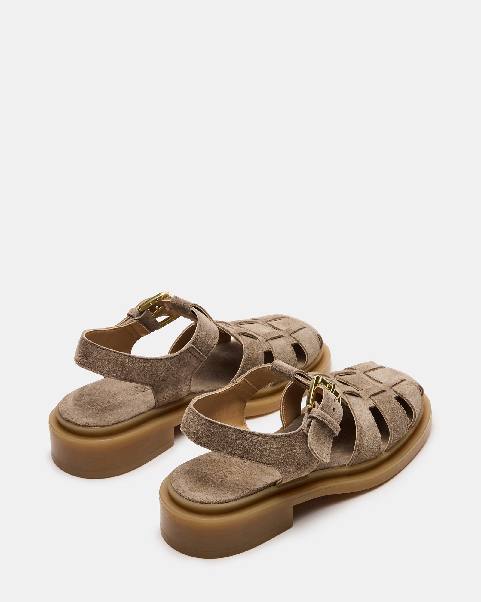 TOPE GREY SAGE、mySite、gtrtttuynbv