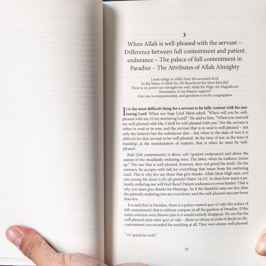 The Lights of Guidance, Volume 2、mySite、topwebapps