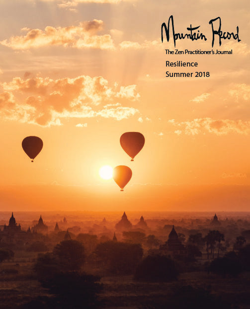 Resilience - Mountain Record, Vol. 36.4, Summer 2018、mySite、topwebapps