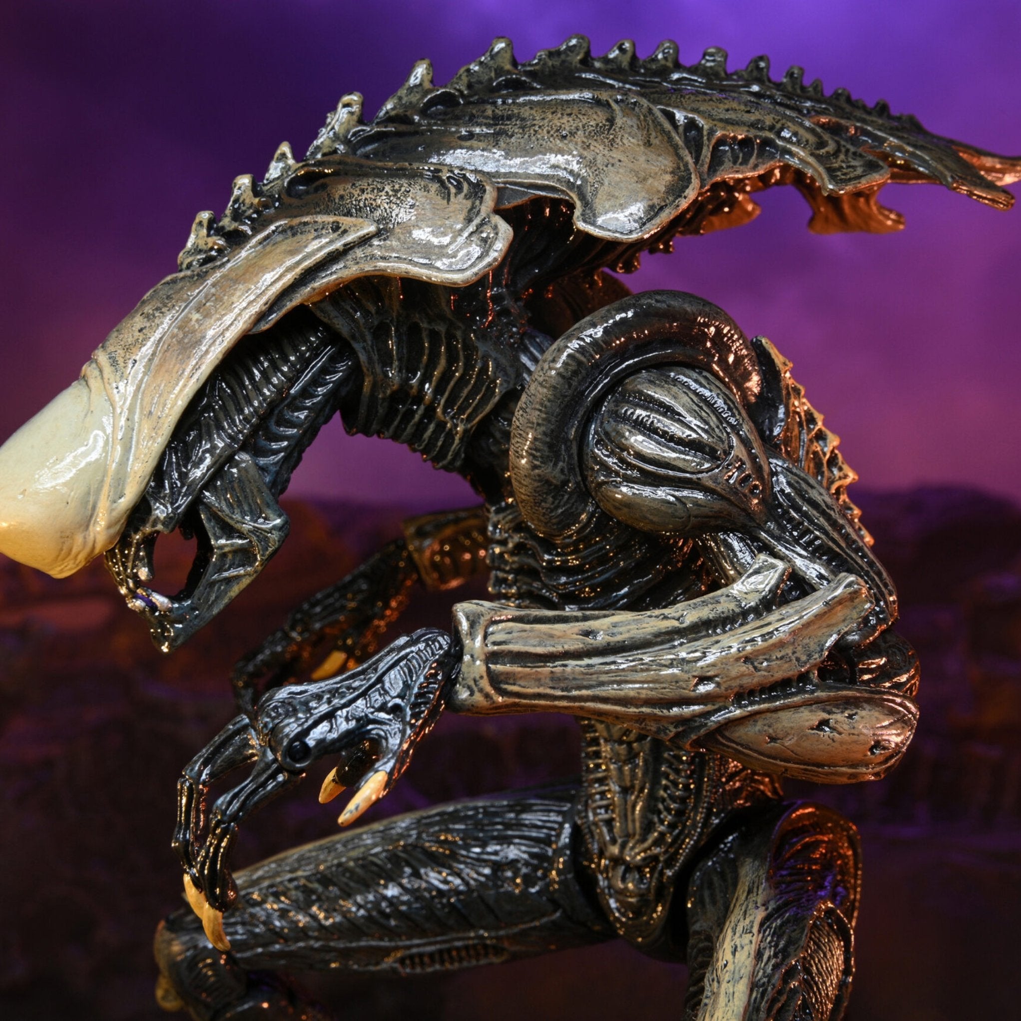 NECA Alien vs. Predator Chrysalis (Movie Deco)、mySite、hgirdovlk