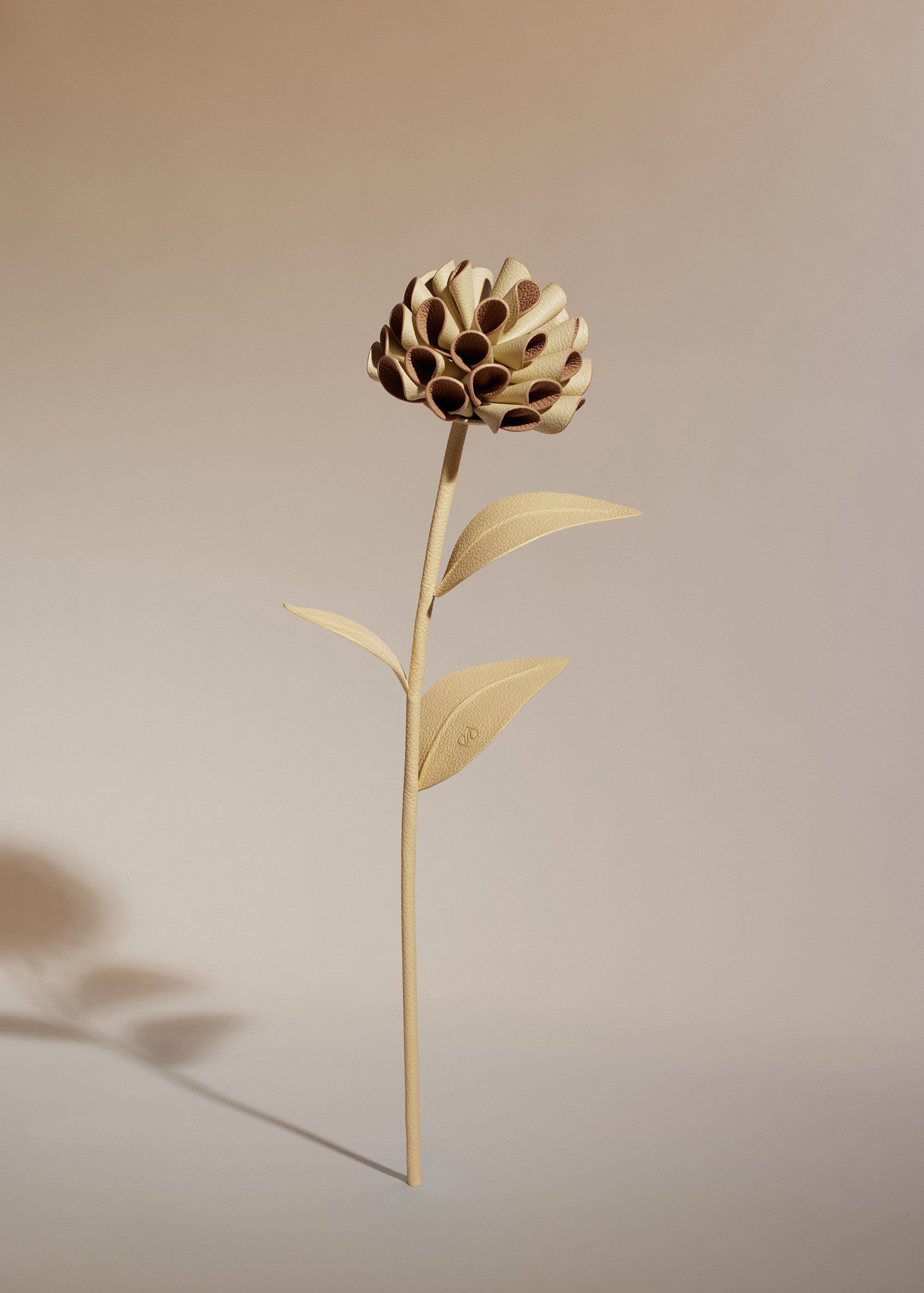 Fleur Dalium - Duo Bl茅 Grain茅、mySite、camillekostekn