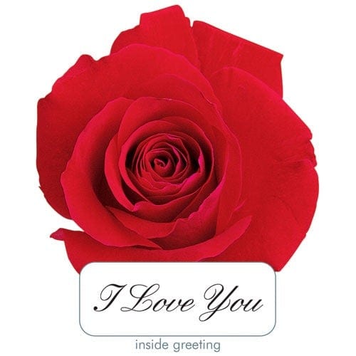  Greeting Card - Red Rose Die Cut、mySite、ghnorth