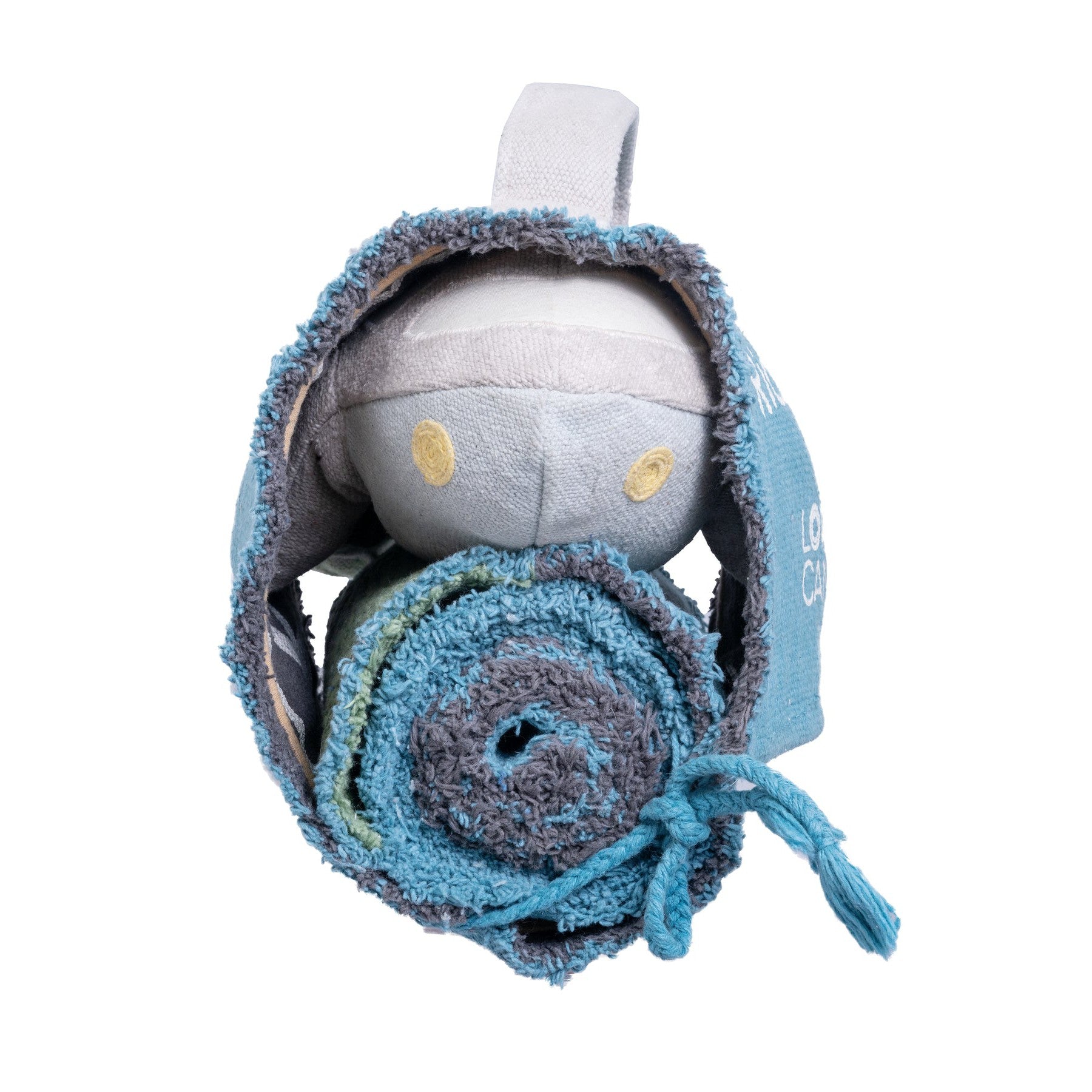 Ride & Roll Airplane、mySite、gigharbornorthrealestate