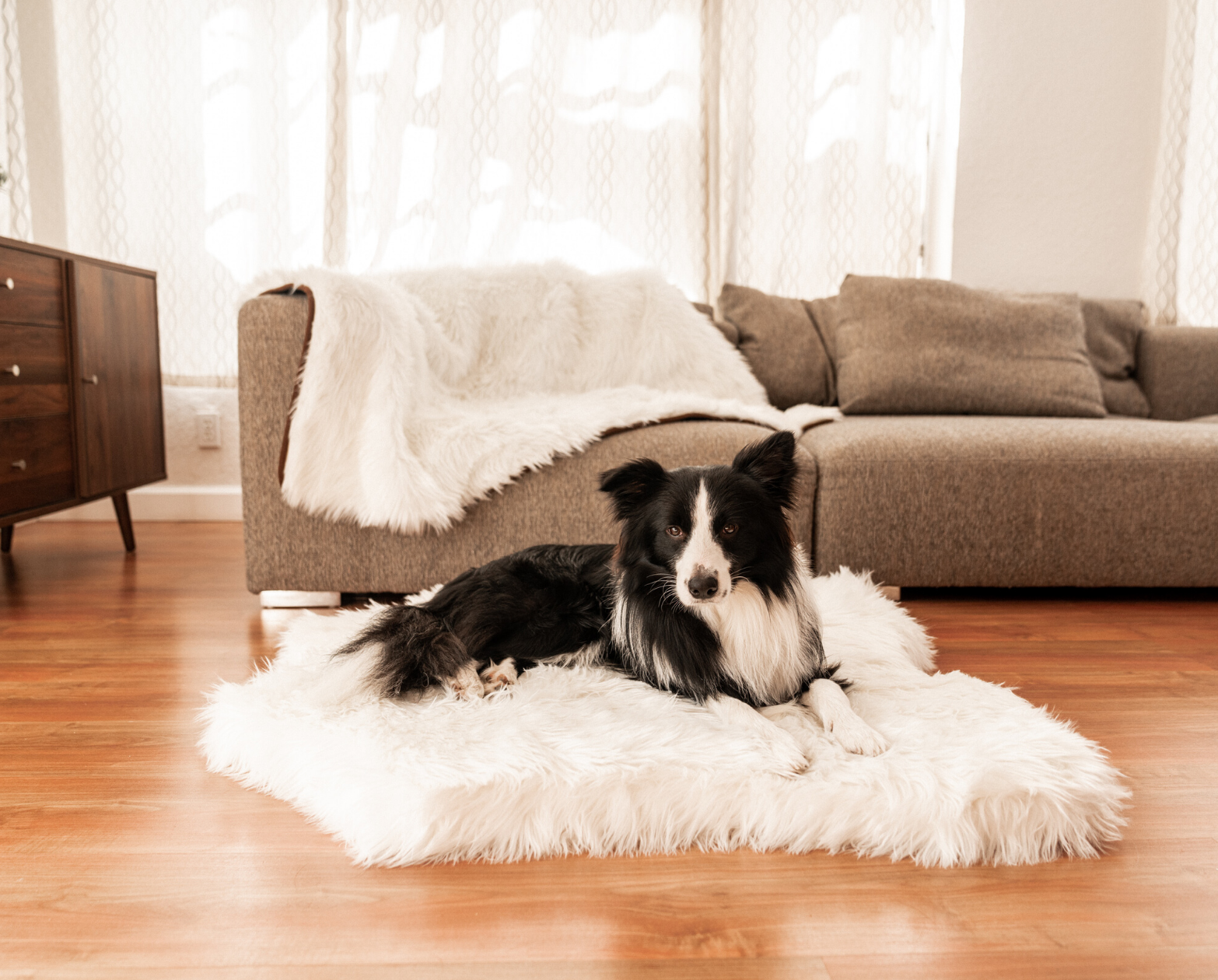 PupRug™ Junior Memory Foam Bed + Matching Waterproof Blanket Bundle - Polar Bear Faux Hide、mySite、solidvoid