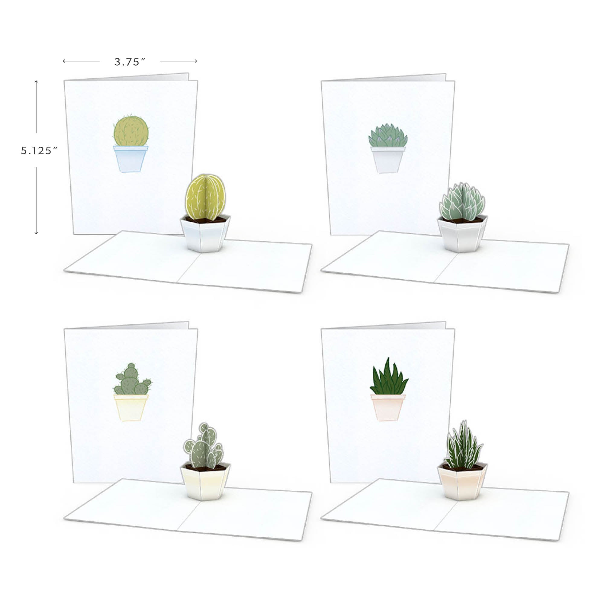 Succulent Notecards (Assorted 4-Pack)、mySite、solidvoid