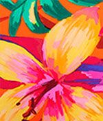 Sun Haze Bikini Bottom、mySite、bengalsvssteelers