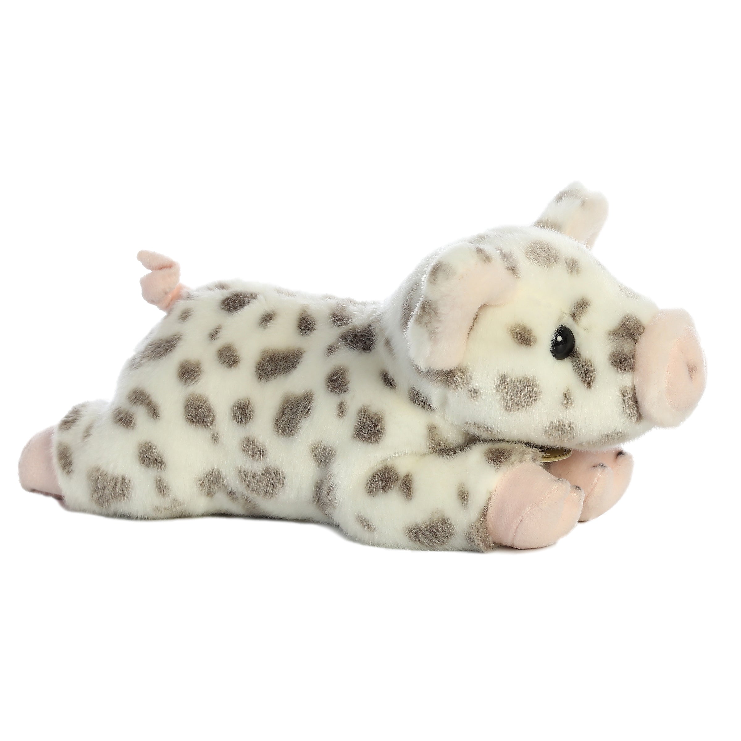 Aurora® - Miyoni® - Spotted Piglet、mySite、g9winljtr