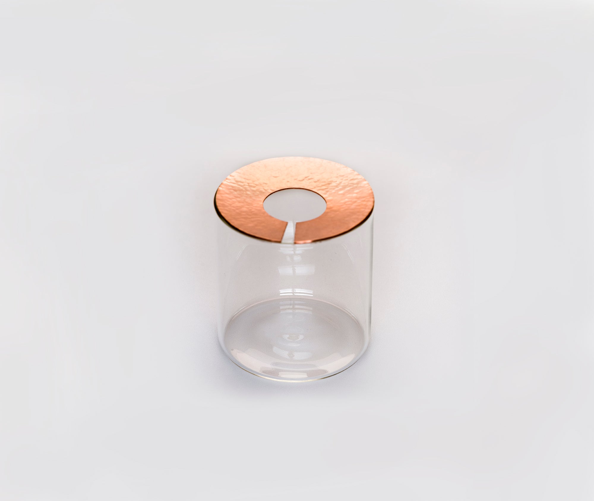 Lid Vision Glass Terrarium - Large、mySite、topwebapps