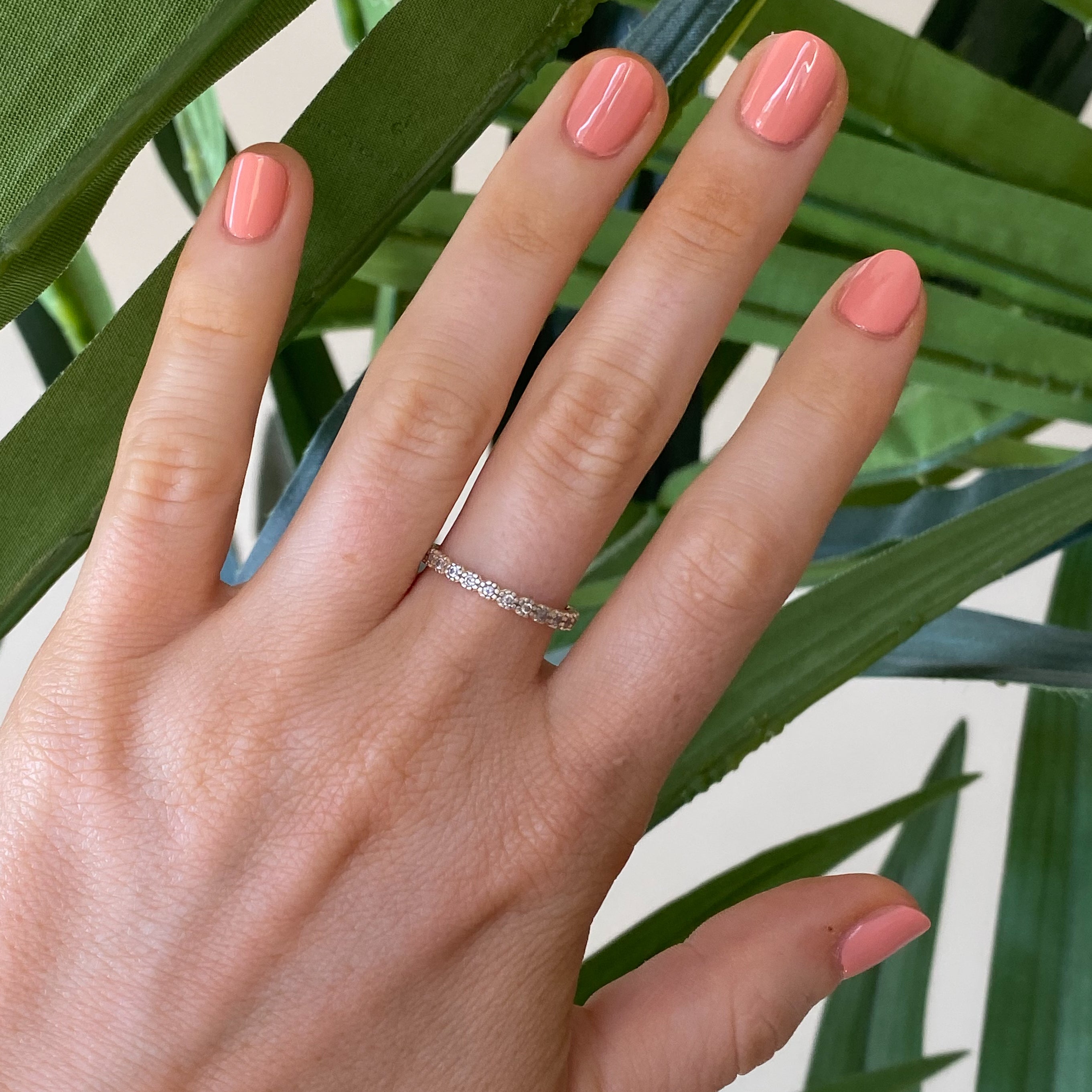 Wild & Free、mySite、solidvoid