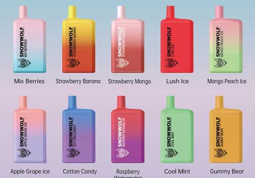 SnowWolf Max 6000 Rechargeable Disposable 10-Pack、mySite、zt4zffjzw