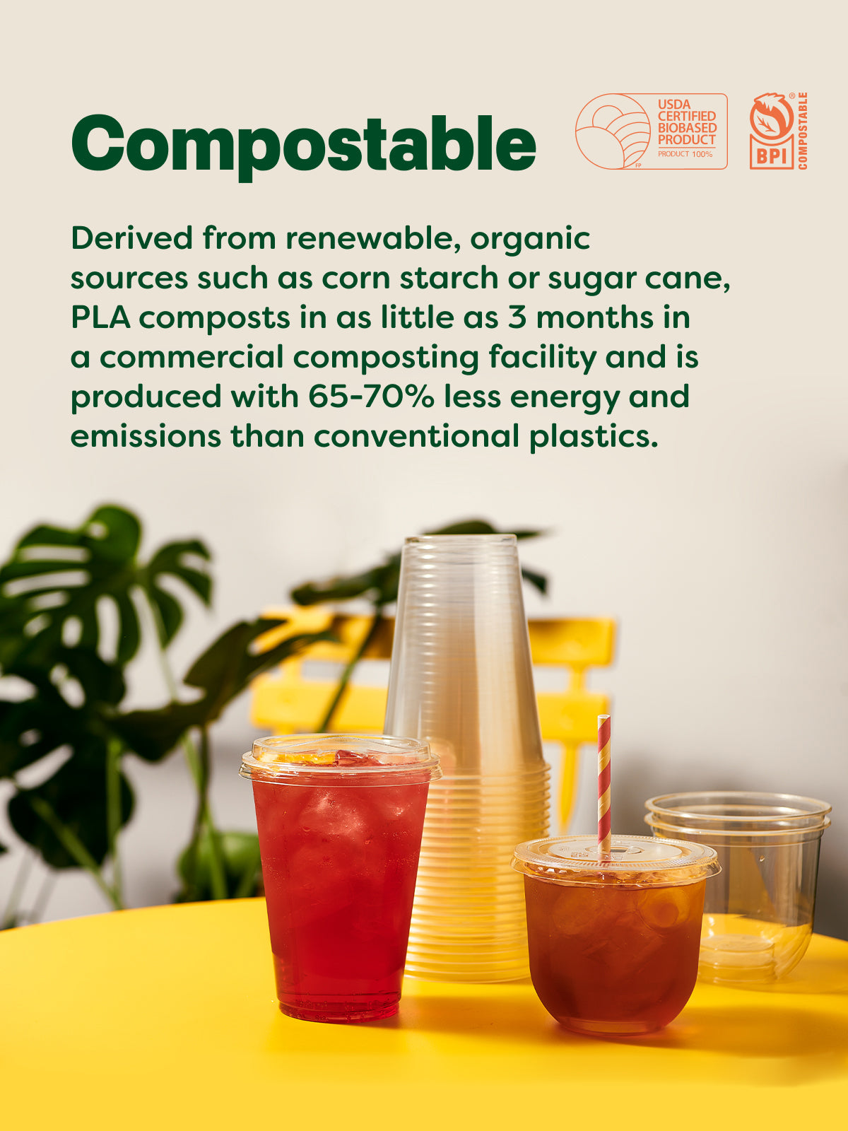 NATURAL 10oz Arena Compostable Cup - Bulk、mySite、camillekostekn