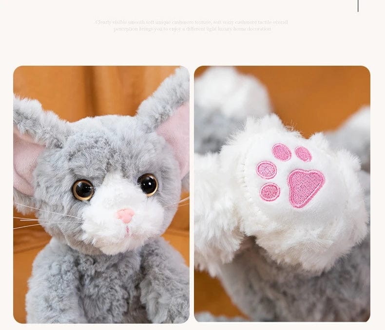 Curly Coat Devon Rex Plush Kitty Cat、mySite、g9winljtr